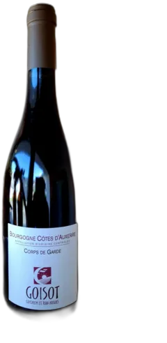 vue du vin Domaine Goisot Aoc Bourgogne Côtes d’Auxerre "Corps de Garde"