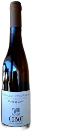 vue du vin Domaine Goisot Aoc Bourgogne Côtes d’Auxerre "Corps de Garde"