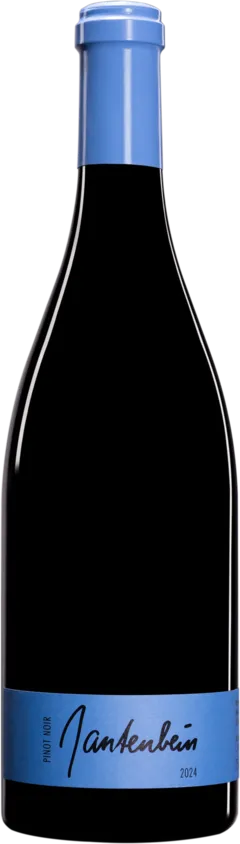 image du vin Pinot Noir
