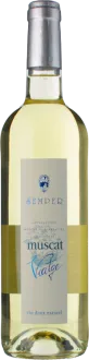 illustration du vin Muscat de Rivesaltes 2025 Domaine Semper