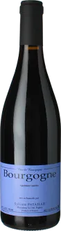 image du vin Bourgogne Rouge 2023 Domaine Sylvain Pataille
