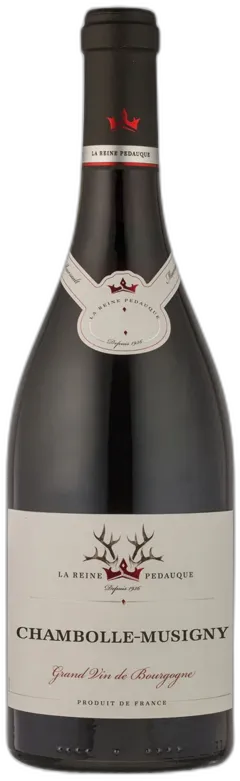 image du vin Chambolle-Musigny Aoc Reine Pédauque 2021