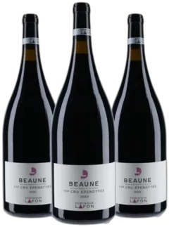 illustration du vin "Dominique Lafon Beaune 1er Cru les Epenottes" 3 Magnums