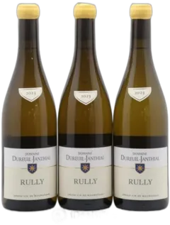 photo du vin Vincent Dureuil-Janthial