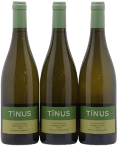 vue du vin Vin de France Château des Tourettes Tinus Chardonnay Plateau de L&Apos;Aigle Jean-Marie Guffens
