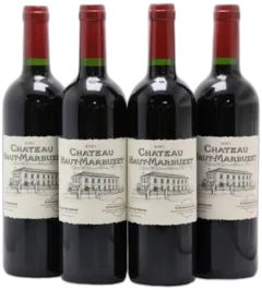 illustration du vin Château Haut Marbuzet