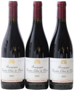 photo du vin Maxime Cheurlin Noëllat