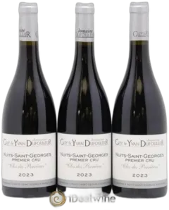 illustration du vin Nuits-Saint-Georges 1er Cru Clos des Perrieres Guy et Yvan Dufouleur