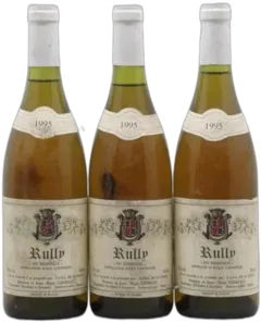photo du vin Rully en Remenot