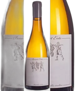 illustration du vin Bourgogne Golden Jubilée Blanc Ente Benoit