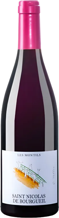 photo du vin Domaine de la Cotelleraie les Montils Saint Nicolas de Bourgueil Rouge 2024
