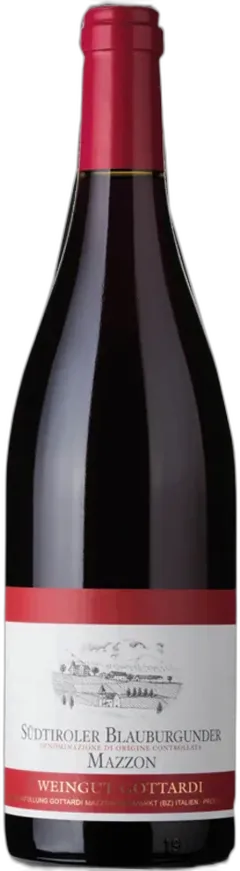 aperçu du vin Pinot Nero Weingut Gottardi Mazzon