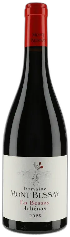 vue du vin Julienas en Bessay 2023