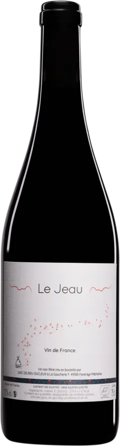 illustration du vin Domaine Julien Delrieu & Thibaut Ducleux Vin de France "le Saint Martin" Rouge 2024