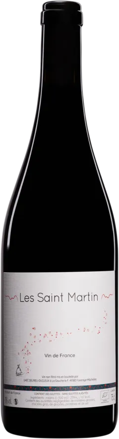 illustration du vin Domaine Julien Delrieu & Thibaut Ducleux Vin de France "le Saint Martin" Rouge 2024