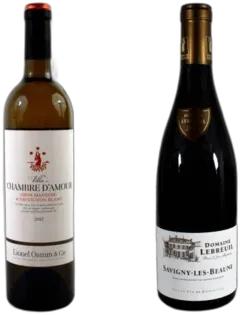 illustration du vin Cadeau Bourgogne Rouge & Côtes de Gascogne Blanc