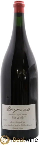 vue du vin Morgon Côte du py Jean Foillard