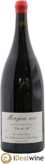 vue du vin Morgon Côte du py Jean Foillard