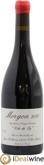 vue du vin Morgon Côte du py Jean Foillard