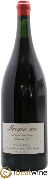 vue du vin Morgon Côte du py Jean Foillard