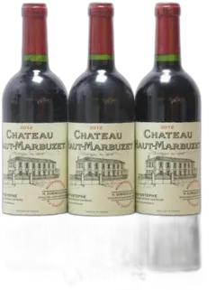 illustration du vin Château Haut Marbuzet