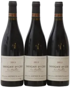 photo du vin Savigny-Lès-Beaune 1er Cru les Peuillets Arnoux Père et Fils