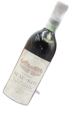 vue du vin Chateau Beau Site Saint Estephe Cru Bourgeois