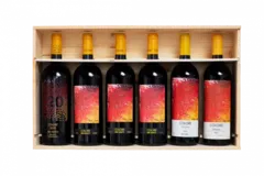 photo du vin Bibi Graetz Anniversaire 20 Ans Colore