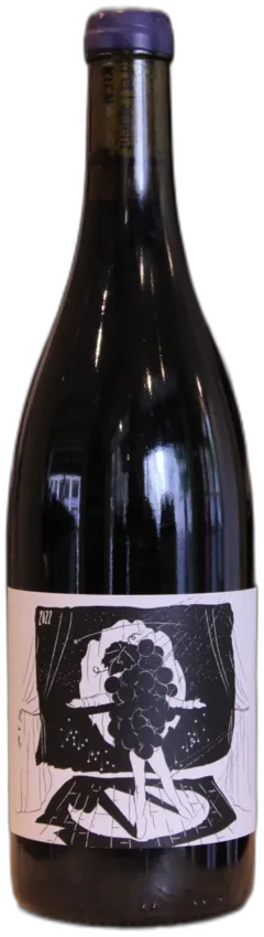 photo du vin Vin de France Syrah Chabrillere 2022 Richard et Laurent Kien