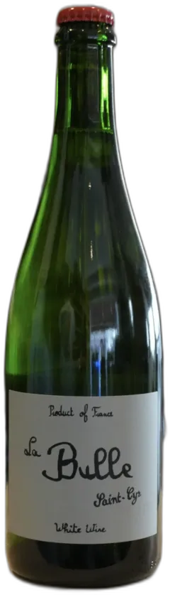 aperçu du vin Beaujolais les Gallong Domaine Saint-Cyr
