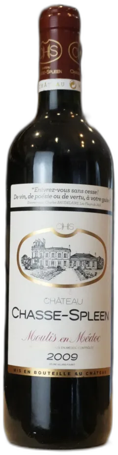 illustration du vin Moulis en Medoc 2009 Chateau Chasse Spleen