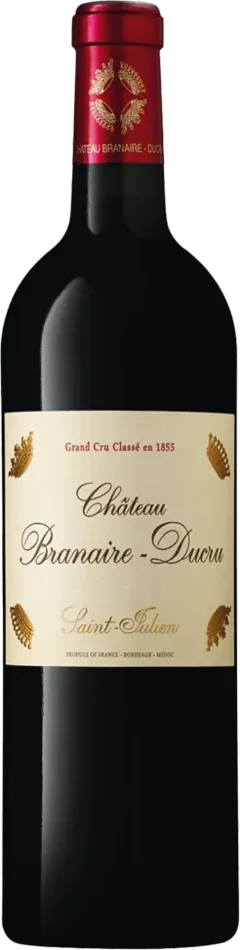vue du vin Château Branaire Ducru 2010