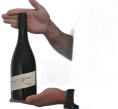 illustration du vin Domaine Canet Valette "Antonyme" Saint-Chinian Rouge Bio