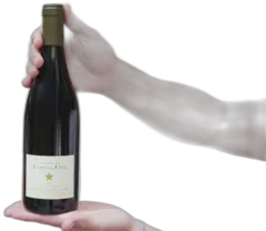 image du vin Clos des Fées Vieilles Vignes