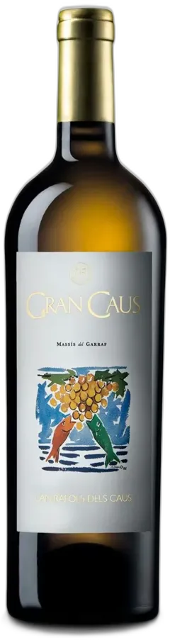 image du vin Gran Caus Blanco