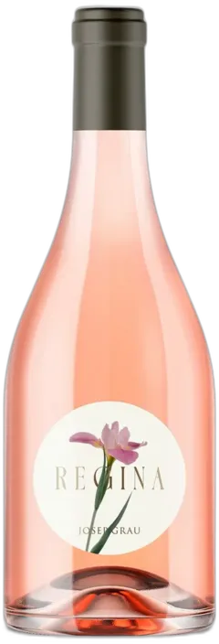 vue du vin Regina Rosado