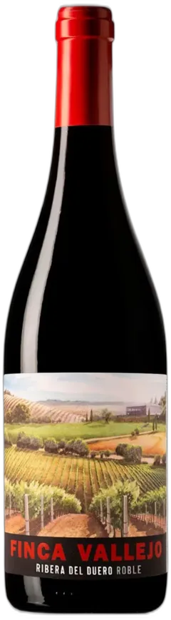 vue du vin Bela Roble 2023 Cvne