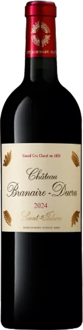 vue du vin Château Branaire Ducru 2010