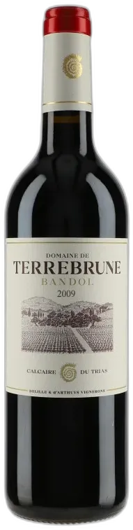 vue du vin Domaine de Terrebrune