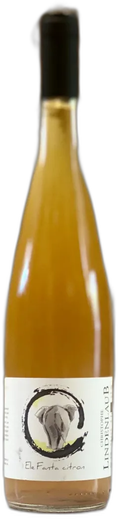 photo du vin Pet’Nat Pinō Citron Pétillant Naturel