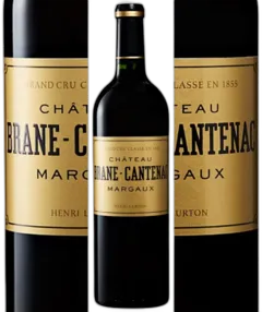 vue du vin Brane Cantenac Promo