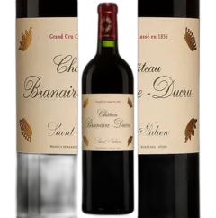vue du vin Château Branaire Ducru 2010