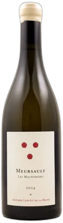 vue du vin les Malpoiriers