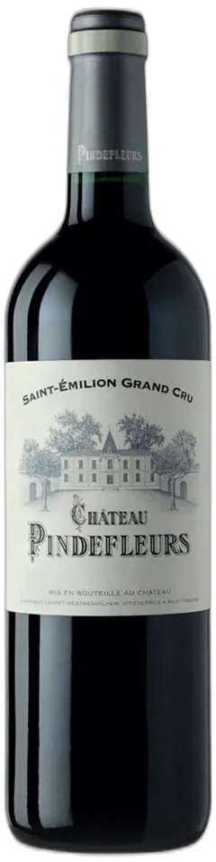 image du vin Château Pindefleurs