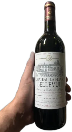 vue du vin Château la Fleur Bellevue