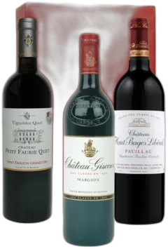 vue du vin Margaux, Saint-Emilion Grand Cru, Pauillac