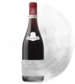 capture du vin Bourgogne Côte d or