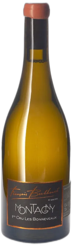 vue du vin Aoc Montagny 1er Cru "les Platières" Domaine Berthenet