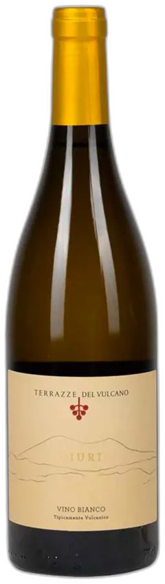 vue du vin Nes