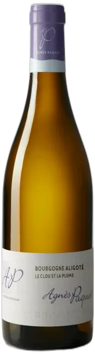 vue du vin Domaine Agnes Paquet "le Clou et la Plume" Bourgogne Aligote Blanc Bio